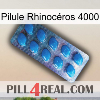 Pilule Rhinocéros 4000 viagra1